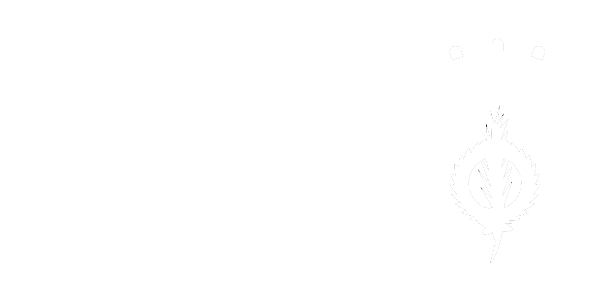 Decidim SPM (Anar a la pàgina d'inici)